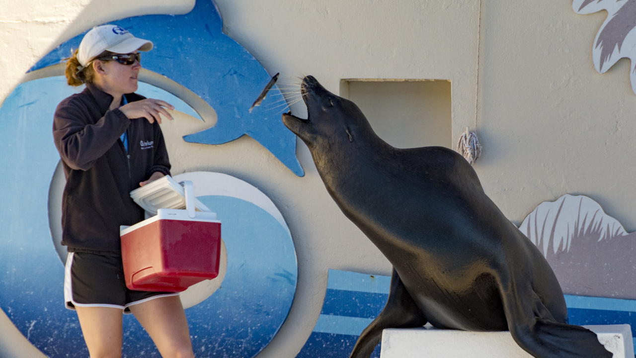 20160217-123348••Fort Walton Beach•Florida•USA